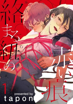 绳索缠覆的红痕,绳索缠覆的红痕漫画
