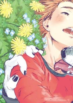 春野与狼独舞,春野与狼独舞漫画