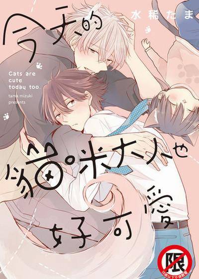 今天的猫咪大人也好可爱,今天的猫咪大人也好可爱漫画