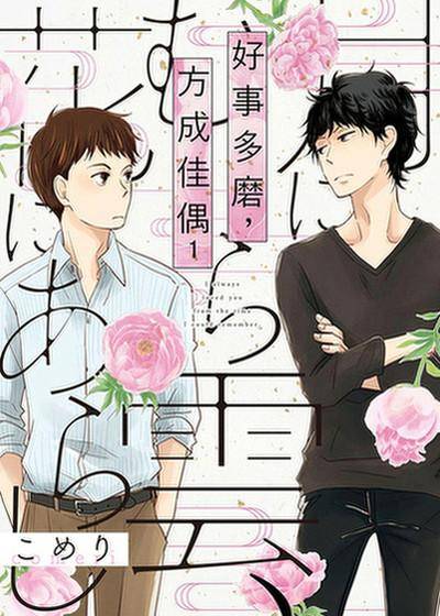好事多磨，方成佳偶,好事多磨，方成佳偶漫画